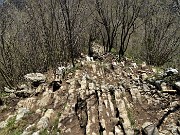 65 Le caratteristiche conformazioni rocciose del Canto Alto affiorano sul sentiero